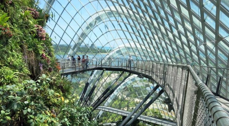 Visit the Park for Free Gardens by The Bay and Singapore Botanic Gaeden
